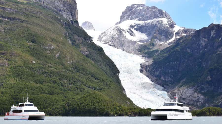 P. Natales: Balmaceda & Serrano Glaciers with Lunch & Whisky - Wildlife watching along Última Esperanza Fjord
