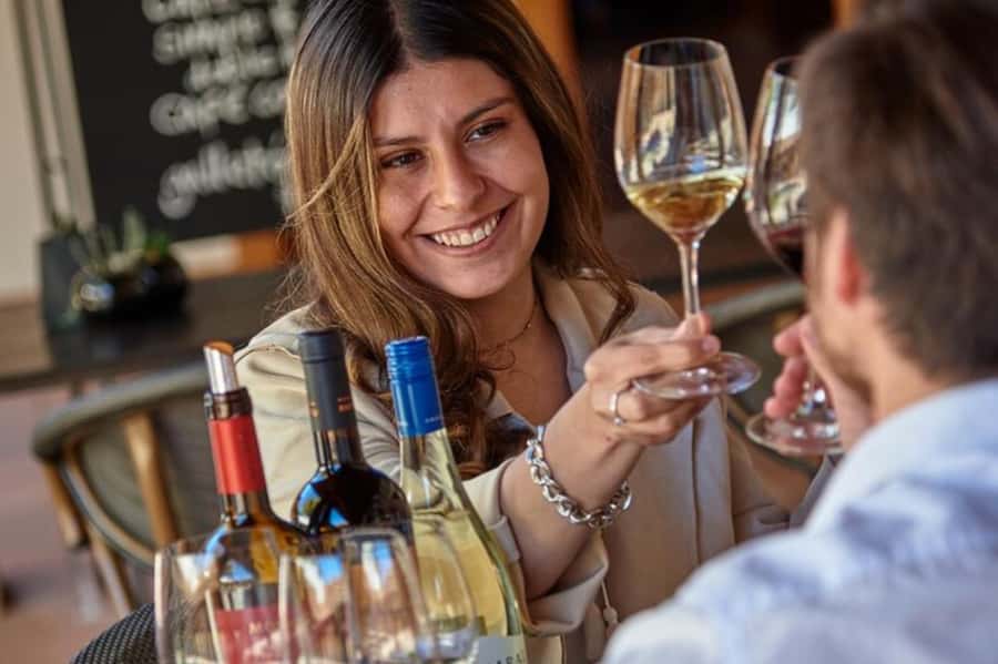 Palmilla: Wine and Flavors Tour - Starting at the MontGras visitor center