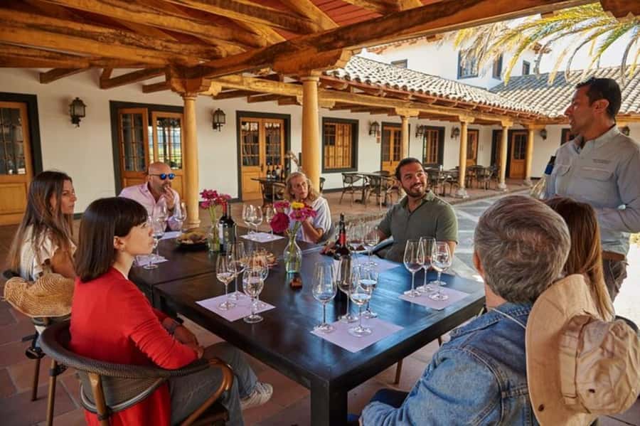 Palmilla: Wine and Flavors Tour - Seeing how the MontGras Winery works