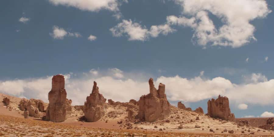Piedras Rojas, Altiplanics Lagoons & Salar Full-Day Tour - At a glance