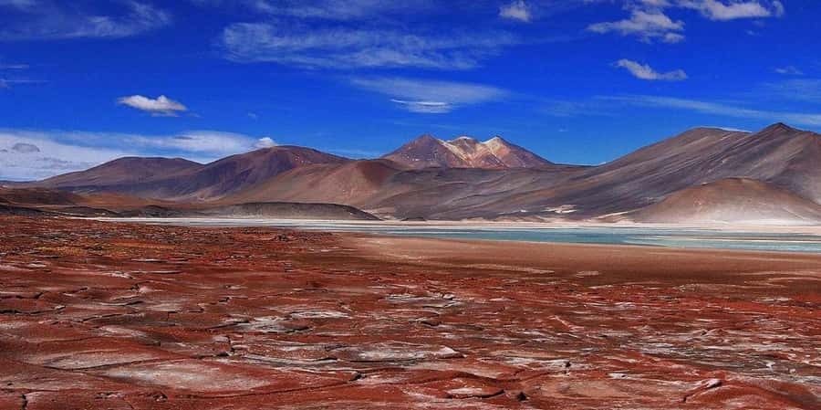 Piedras Rojas, Altiplanics Lagoons & Salar Full-Day Tour - Why this Atacama day works so well