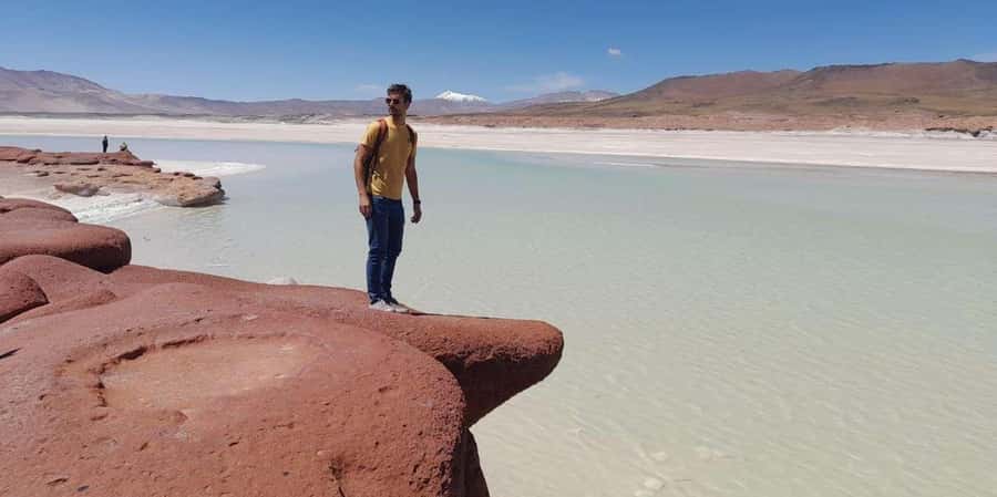 Piedras Rojas, Altiplanics Lagoons & Salar Full-Day Tour - Miscanti and Miñiques at 4,200 meters