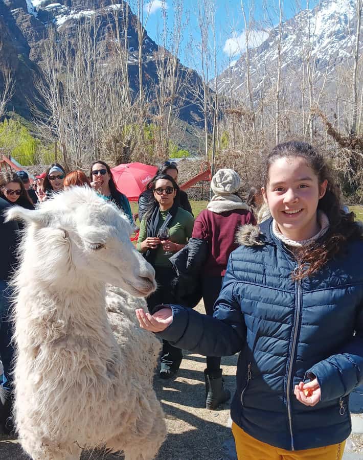 Portillo + Laguna del Inca with picnic - Key things to know before you go