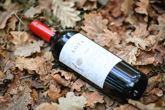 "Premium Wine Tour" Viña Cousiño Macul Official english - The guides shape the experience