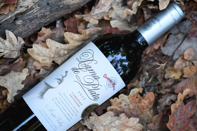 "Premium Wine Tour" Viña Cousiño Macul Official english - What the $45 price really buys you