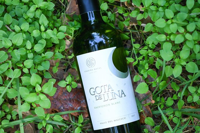 "Premium Wine Tour" Viña Cousiño Macul Official english - Getting to Av. Quilín 7100