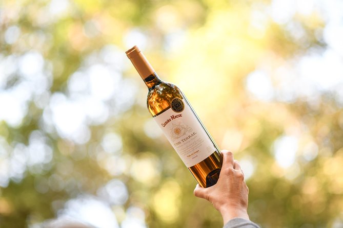 "Premium Wine Tour" Viña Cousiño Macul Official english - Who will enjoy this premium visit most
