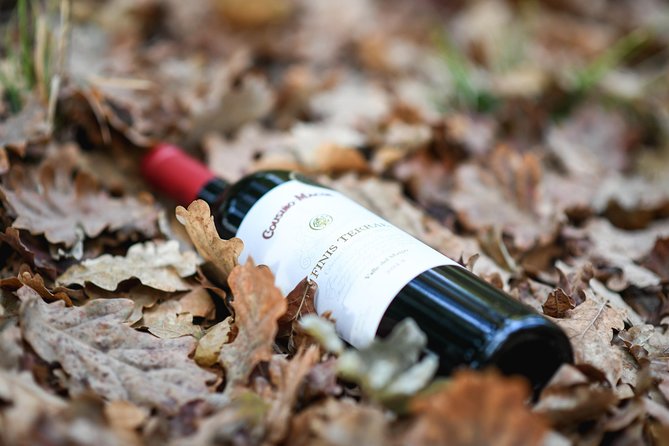 "Premium Wine Tour" Viña Cousiño Macul Official english - Booking timing and cancellation