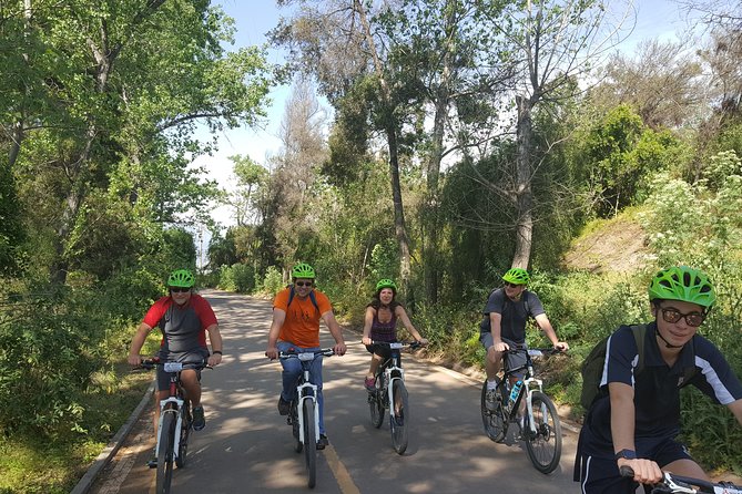 Private Full-Day Bike Tour of Santiago Cultural 5-6 hrs - From Providencia to Vitacura