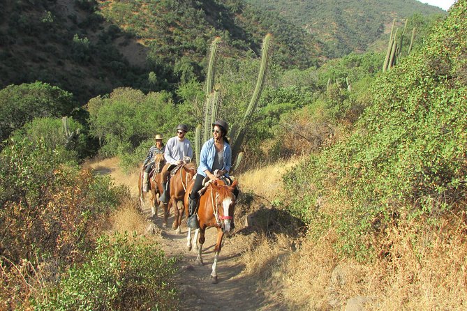 Private Horseback Adventure in the Andes, with Picnic & Wine - Key points to know before booking