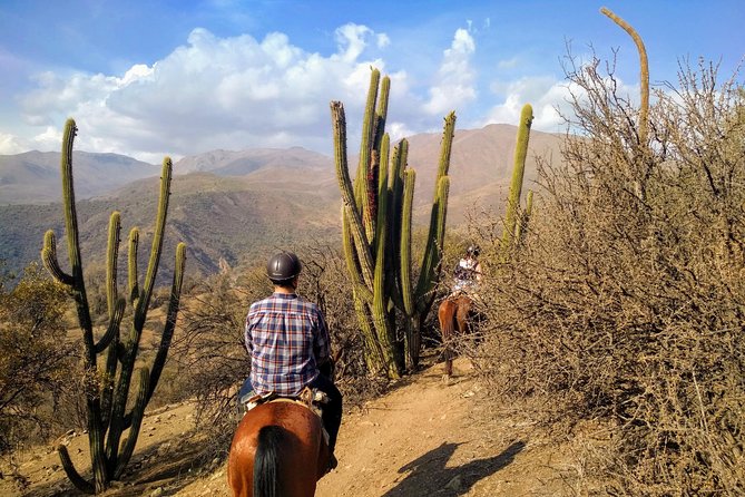 Private Horseback Adventure in the Andes, with Picnic & Wine - The arriero ranch and picnic finish