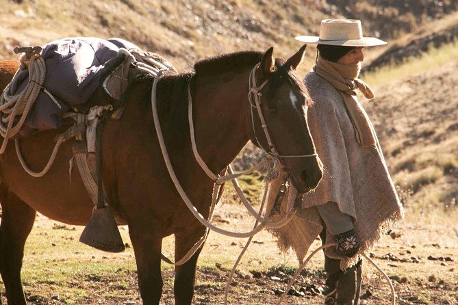 Private Horseback Adventure in the Andes, with Picnic & Wine - Sunset and evening options in summer