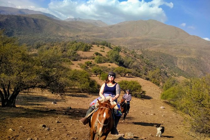 Private Horseback Adventure in the Andes, with Picnic & Wine - Is $278.90 a fair price?
