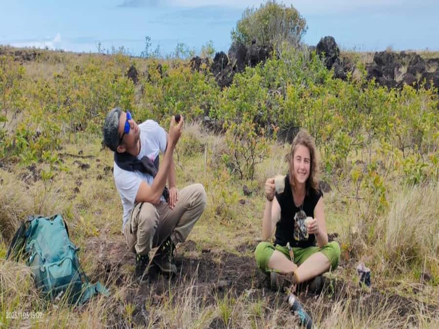 Private Tour: The Underground World of Rapa Nui Caves - Ana Te Pora and the power of low light