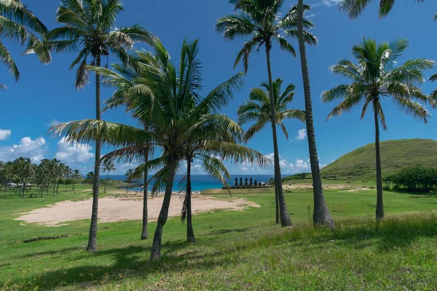 Private tour: where the history of the Moai was born - Tongariki delivers the strongest moai photograph