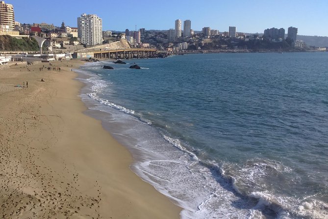 Private Valparaíso & Viña del Mar Day Trip with Boutique Winery - Why this private day trip works from Santiago