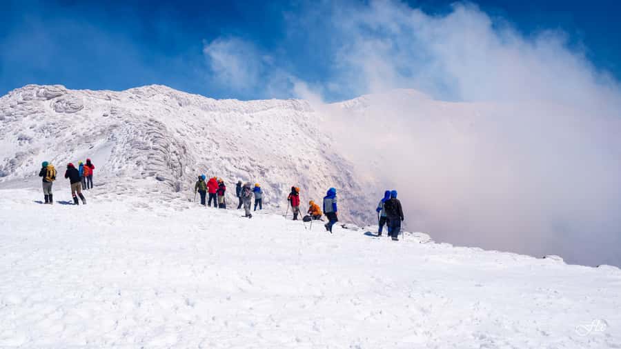Pucón: Ascent to Villarrica Volcano - Is the $185 Price Fair?