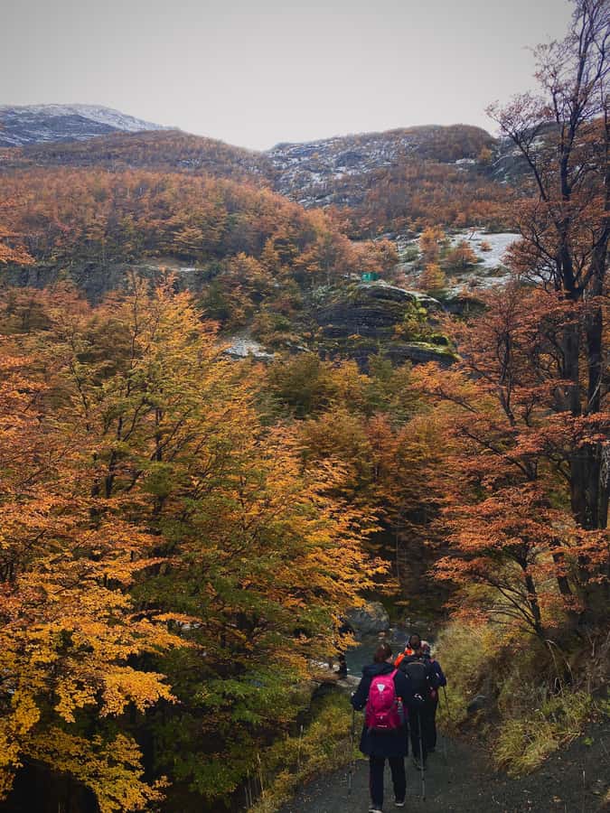 Puerto Natales: Base of the Towers Trekking Experience - Who should book this trek