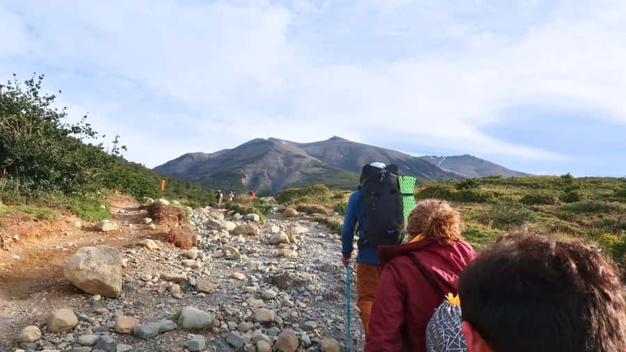 Puerto Natales: Base Torres Small Group Trekking - Forest walking, mountain views, and changing weather