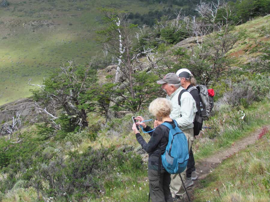 Puerto Natales: Cerro Benitez Half-Day Hike with Condors - Bernardo, Maria, and the guiding style
