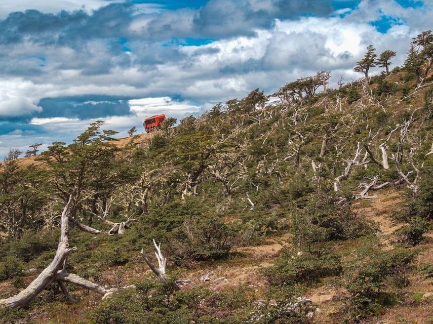 Puerto Natales: Cerro Dorotea 8x8 Tour with Panoramic Views - How the $80 price works for your day