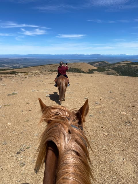 Puerto Natales: Full Day Horse Riding to the Mountains - Who should book this Patagonia horseback ride?
