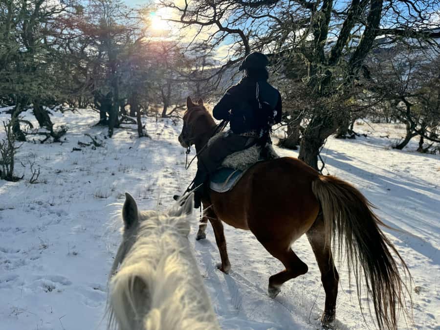 Puerto Natales: Full Day Horse Riding to the Mountains - A horse ride with a slower beginning