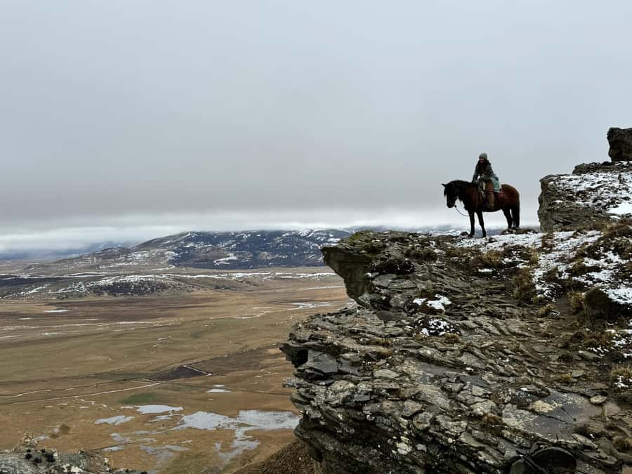 Puerto Natales: Full Day Horse Riding to the Mountains - Riding through forests, rivers, and open country