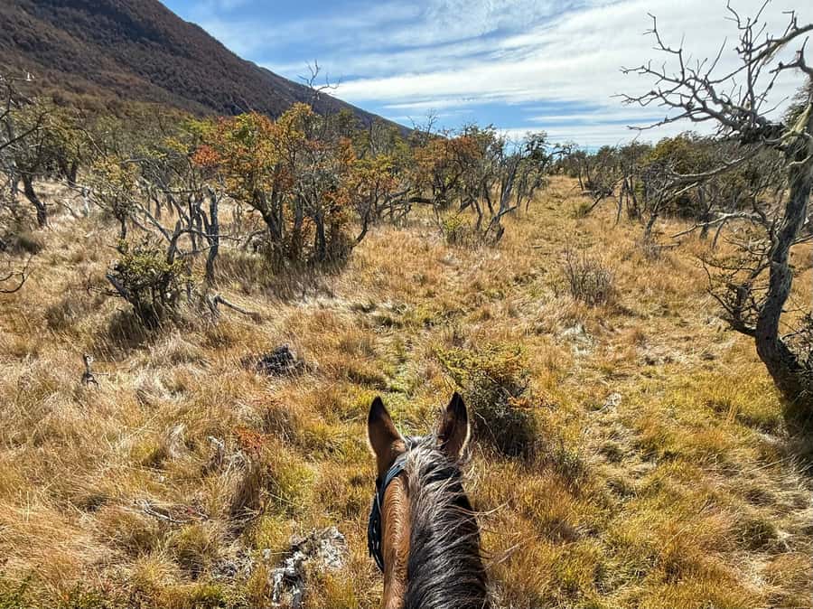 Puerto Natales: Full Day Horse Riding to the Mountains - How the $360 price works out