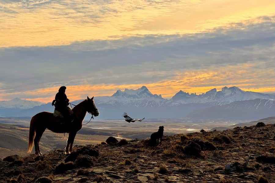 Puerto Natales: Full Day Horse Riding to the Mountains - Pickup, timing, and the coffee start