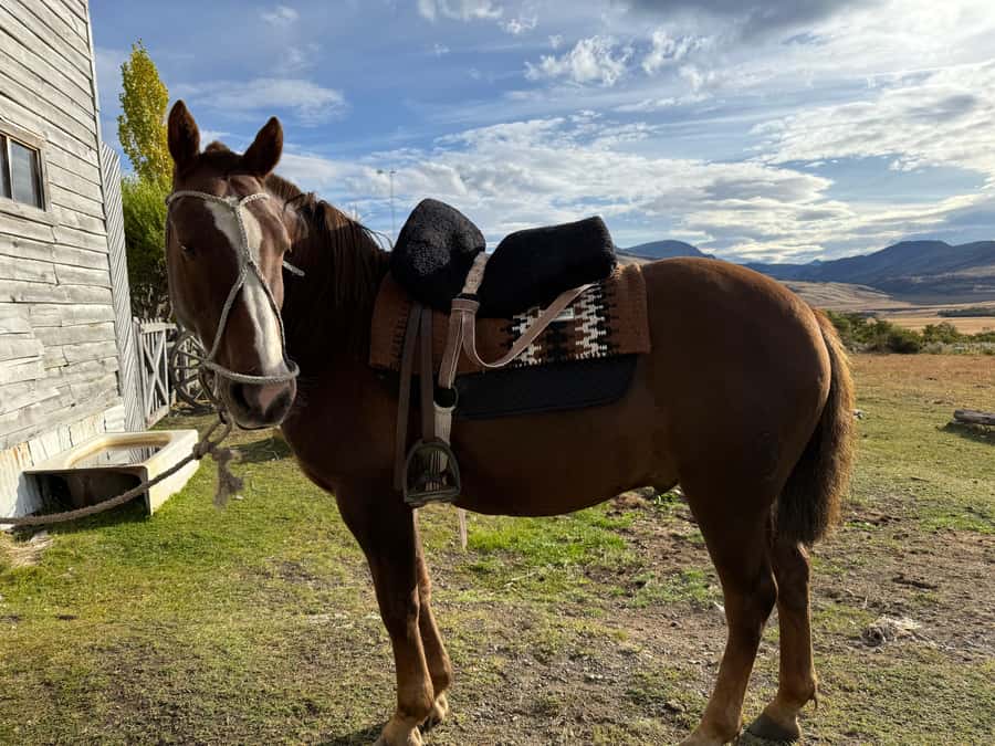 Puerto Natales: Full Day Horse Riding to the Mountains - What the 90-minute preparation means for you
