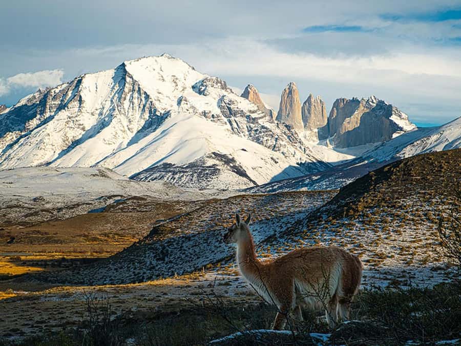 Puerto Natales: Full-Day Torres del Paine Tour - Key points to know before you go