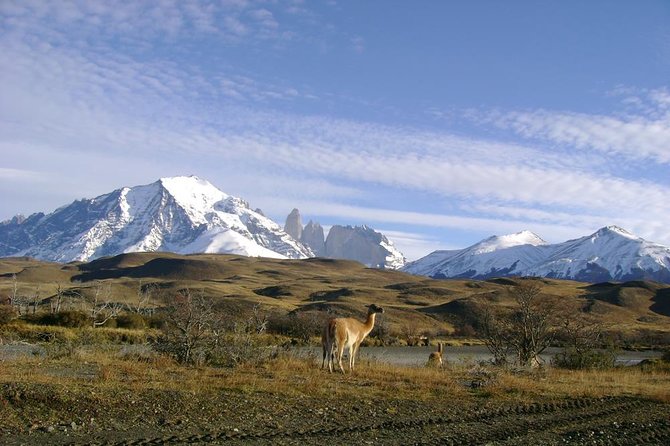 Puerto Natales: Full day tour Torres del Paine - What this Puerto Natales day tour really offers