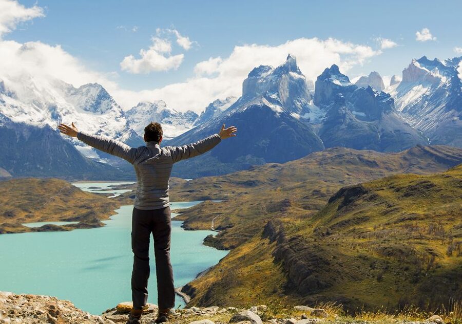 Puerto Natales: Full day tour Torres del Paine National Park - Nordenskjöld Lake and Laguna Amarga