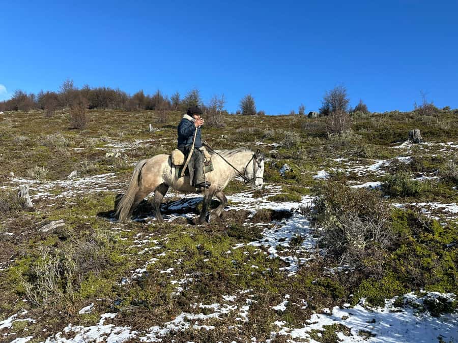 Puerto Natales: Horseback Riding to Dorotea Fjord Lookout - Cerro Dorotea, a high viewpoint above Puerto Natales