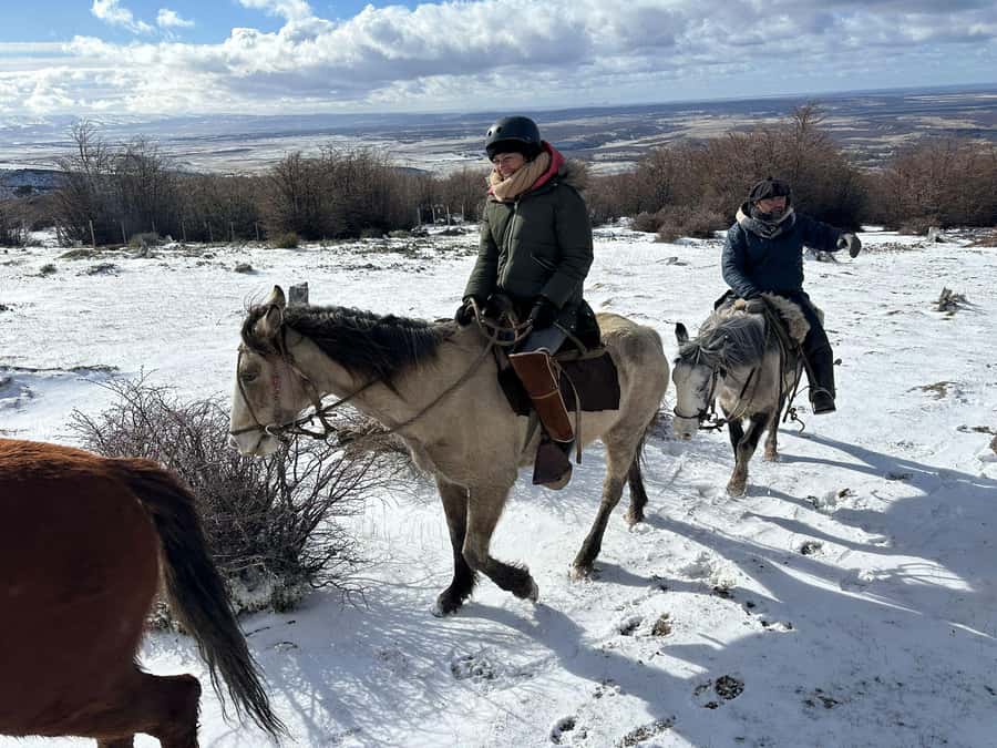 Puerto Natales: Horseback Riding to Dorotea Fjord Lookout - Riding with a Spanish-speaking gaucho