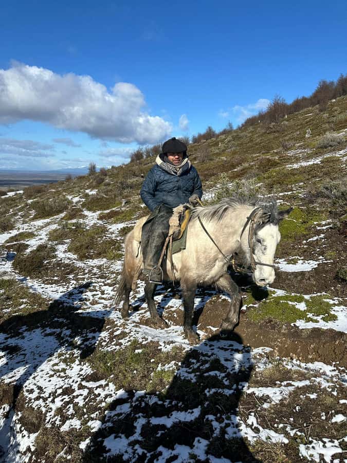 Puerto Natales: Horseback Riding to Dorotea Fjord Lookout - Price and what the included service is worth