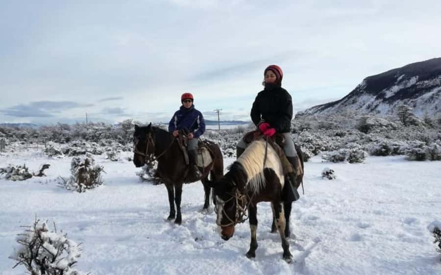 Puerto Natales: Horseback Riding to Dorotea Fjord Lookout - Who should choose this horseback outing