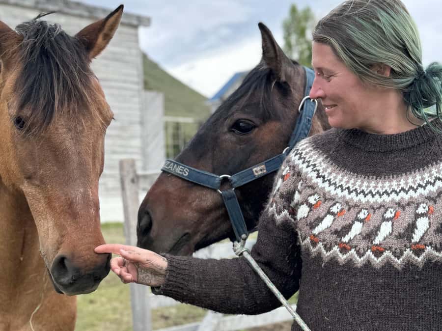 Puerto Natales: Horseback Riding with Horse Connection - A horse experience that begins on the ground