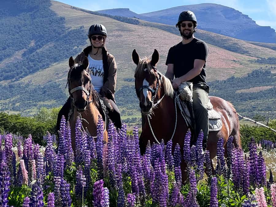 Puerto Natales: Horseback Riding with Horse Connection - Riding north toward Lake Figueroa