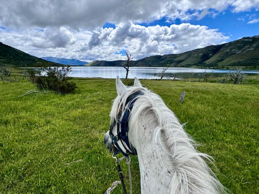 Puerto Natales: Horseback Riding with Horse Connection - What makes Lynn’s teaching different