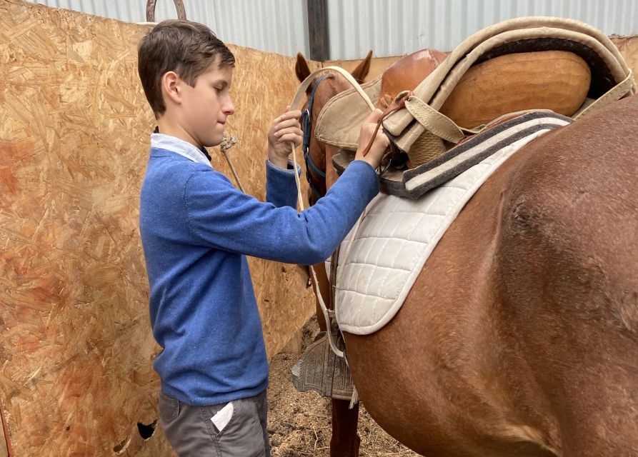 Puerto Natales: Horseback Riding with Horse Connection - Meeting, pickup, and the end of the day