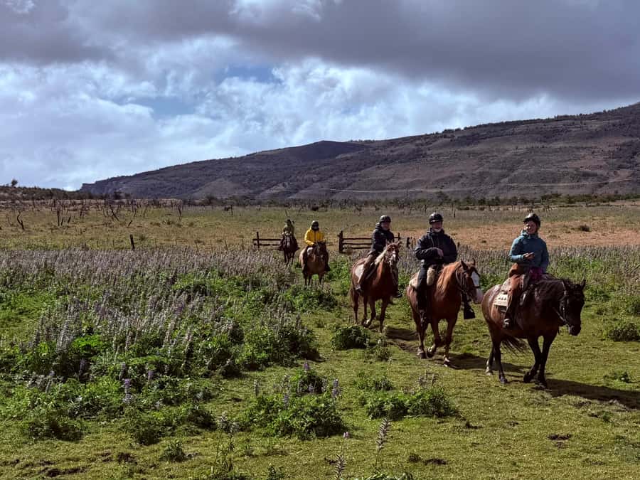 Puerto Natales: Horseback Riding with Horse Connection - What to wear and what to bring