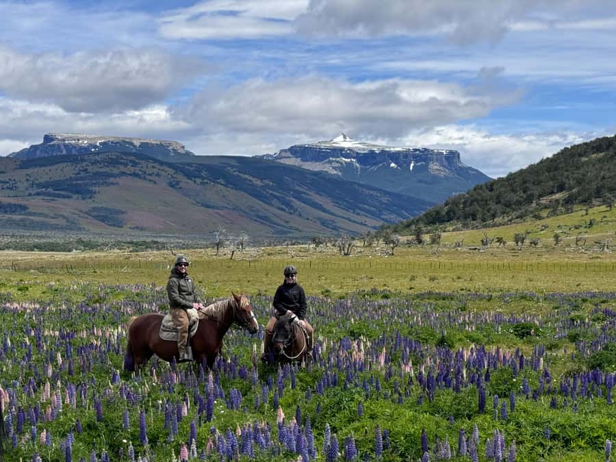 Puerto Natales: Horseback Riding with Horse Connection - Choosing English, Chilean huaso, or gaucho tack