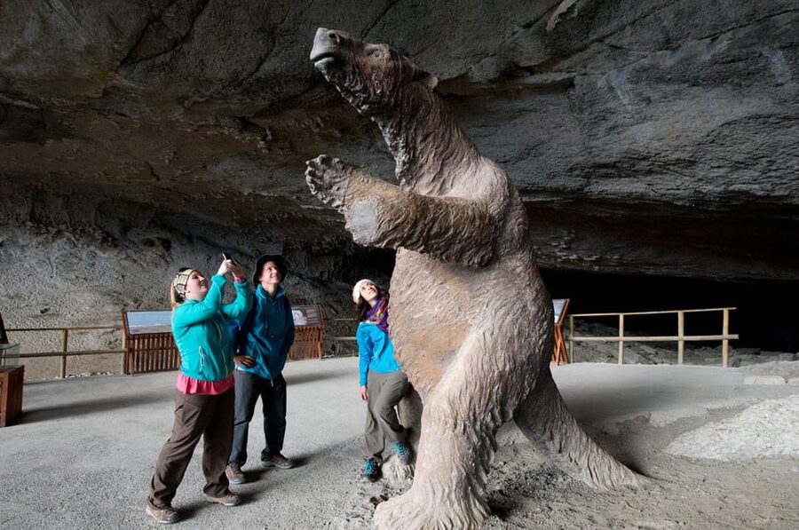 Puerto Natales: Tour Package (Full Day + Base Torres + Grey) - What the $523 price really includes