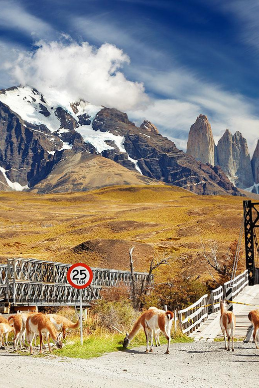 Puerto Natales: Tour Package (Full Day + Base Torres + Grey) - Who should book this three-day package?