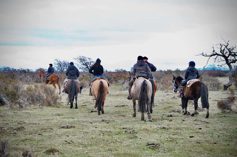 Puerto Natales: Traditional Horseback Riding Experience - Why this ride feels different from a standard trail outing