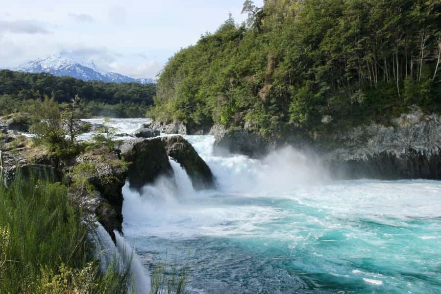 Puerto Varas: Osorno Volcano, Petrohue Falls Full-day Trip - Guide, group size, and the private-tour question