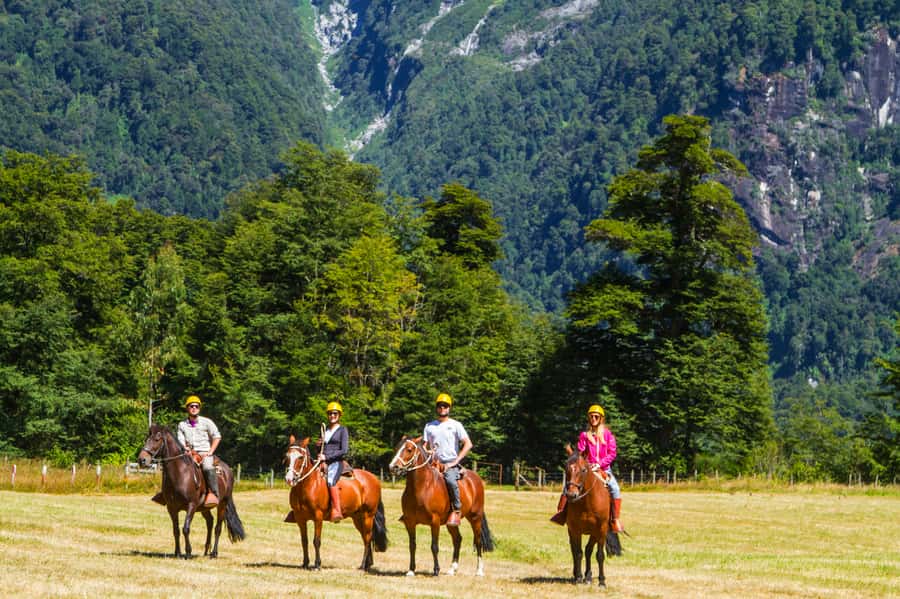 Puerto Varas: Peulla Day Trip - What the day feels like in practice