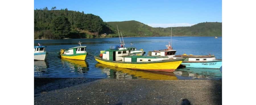 Puerto Varas: Puerto Montt & Puerto Varas Private City Tour - Starting with Puerto Montt’s high viewpoint